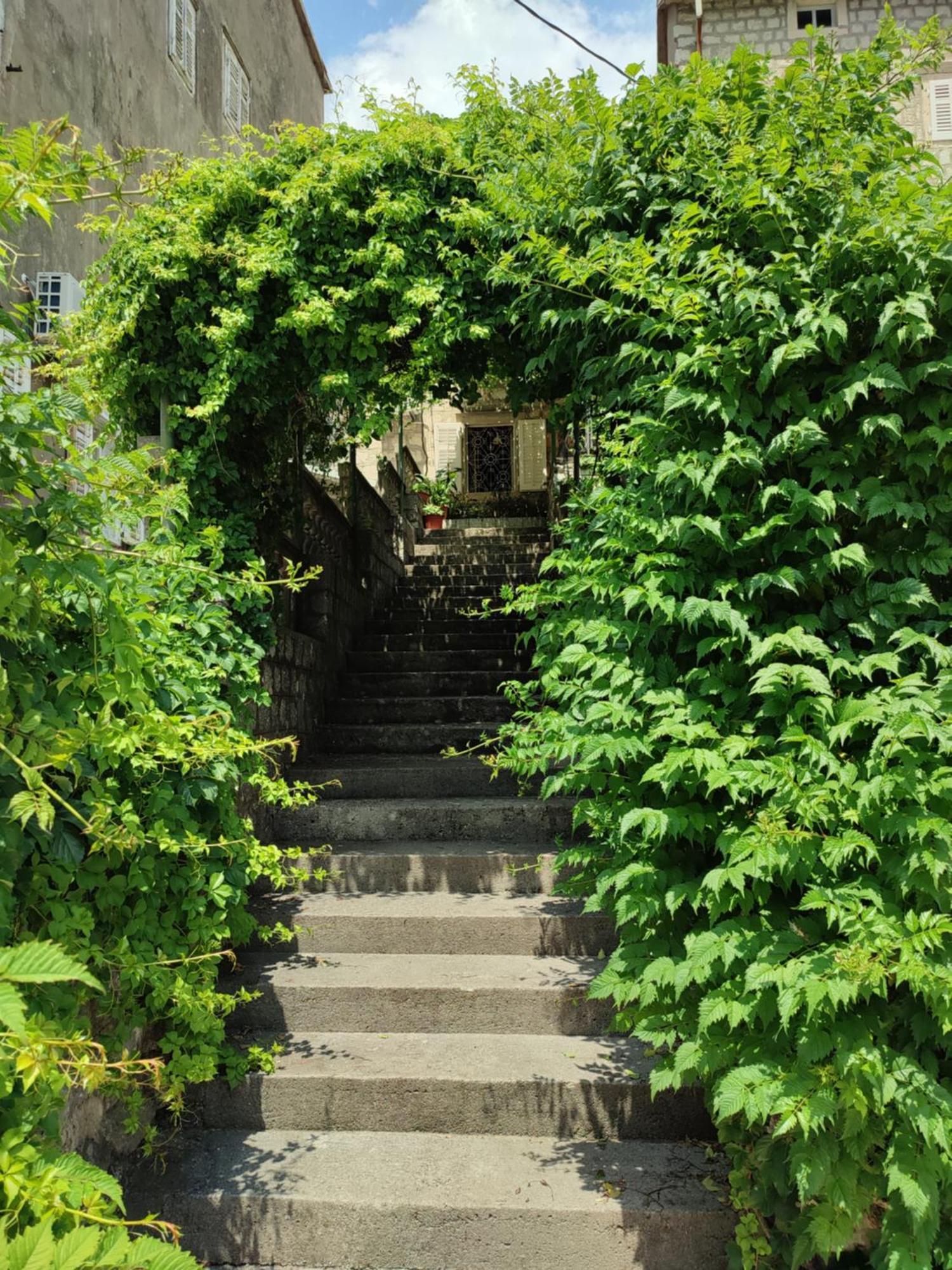 Guesthouse Zmukic Perast Bagian luar foto